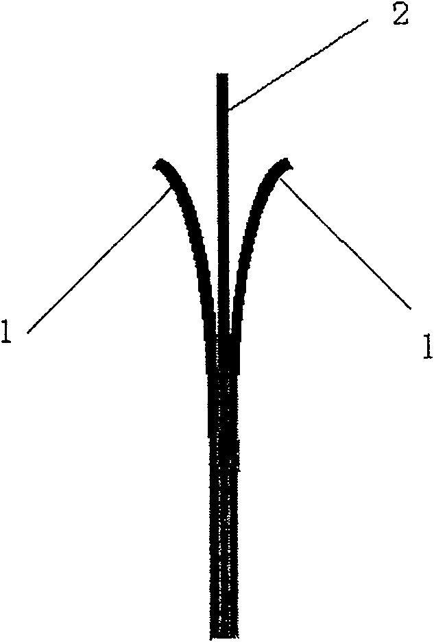 Manufacture method of pole of super capacitor