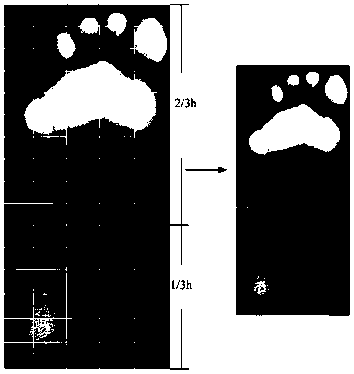 Footprint expression method combining regional confidence and pressure distribution direction intensity