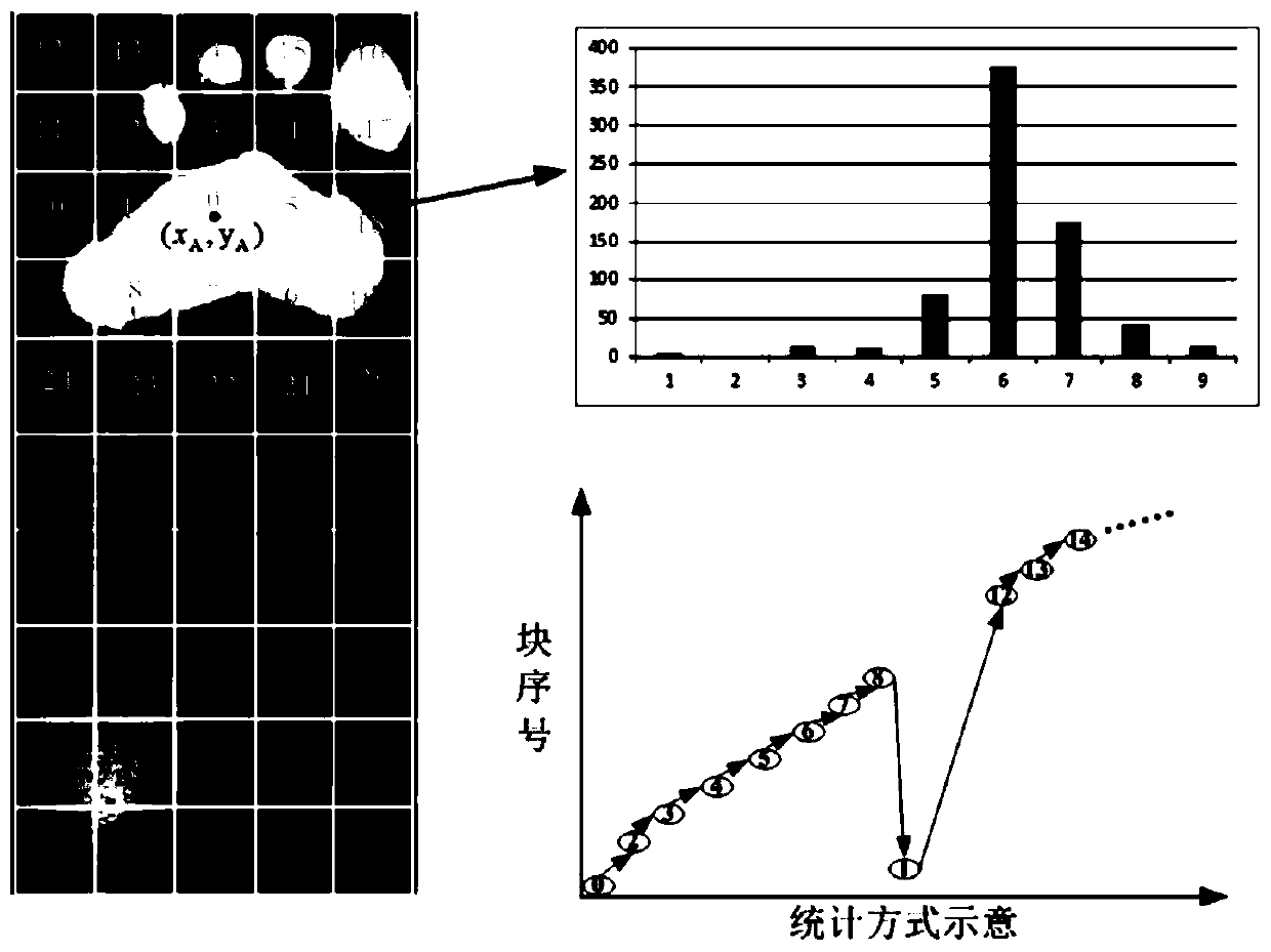 Footprint expression method combining regional confidence and pressure distribution direction intensity