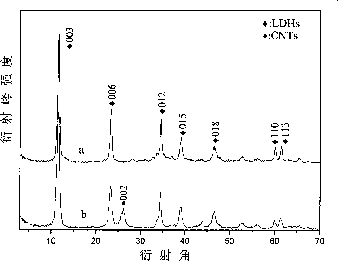 Carbon nano-tube composite material and uses for photocatalysis degradation