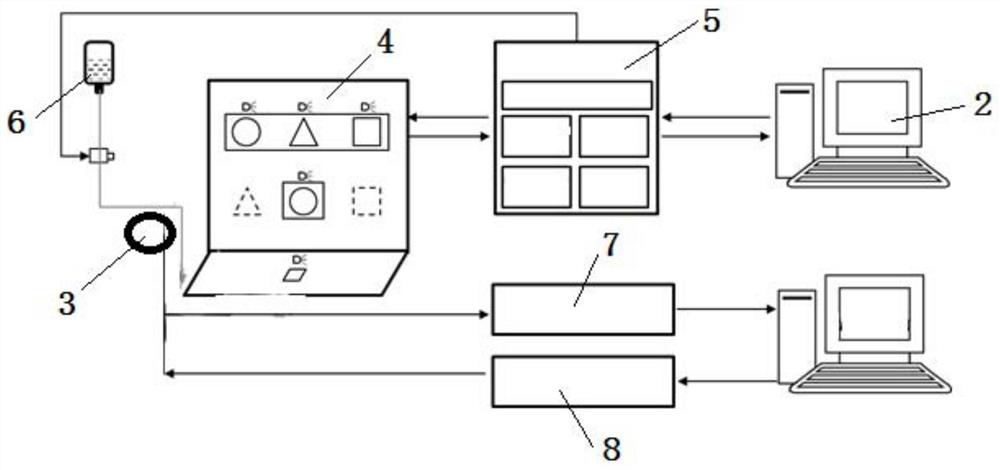 Automatic training device and training method for non-human primate tactile research