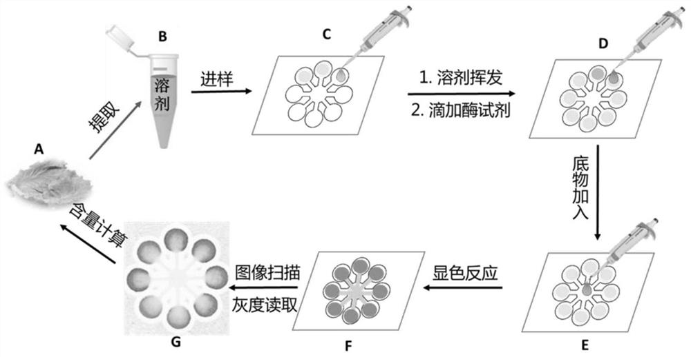 A method for rapid detection of pesticide residues by extracting samples with organic solvents