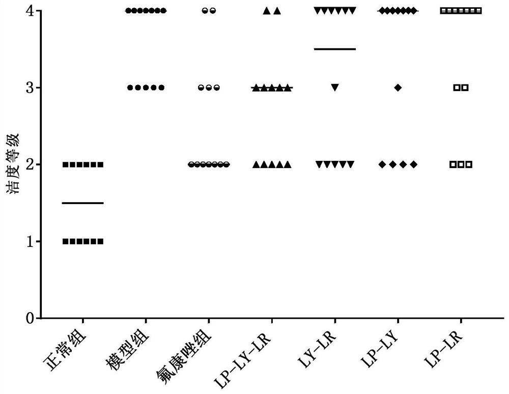 Compound probiotics, bacterial agents and their application in the preparation of bacterial agents for the prevention and treatment of Candida albicans vaginitis