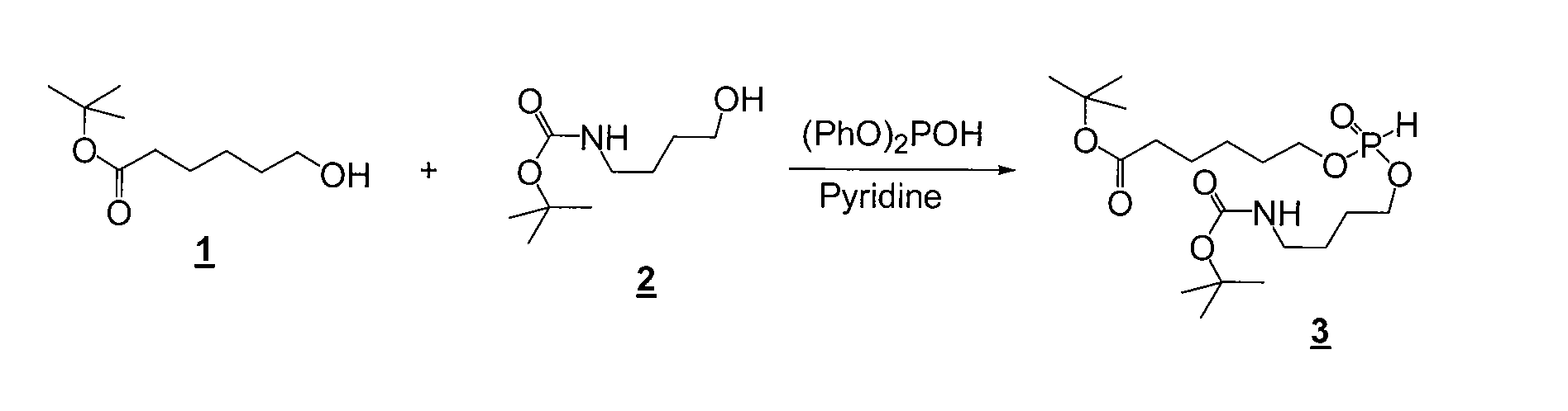 Amide-substituted xanthene dyes