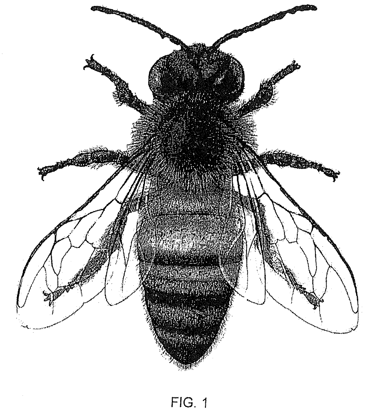 Method and system for protecting honey bees, bats and butterflies from neonicotinoid pesticides