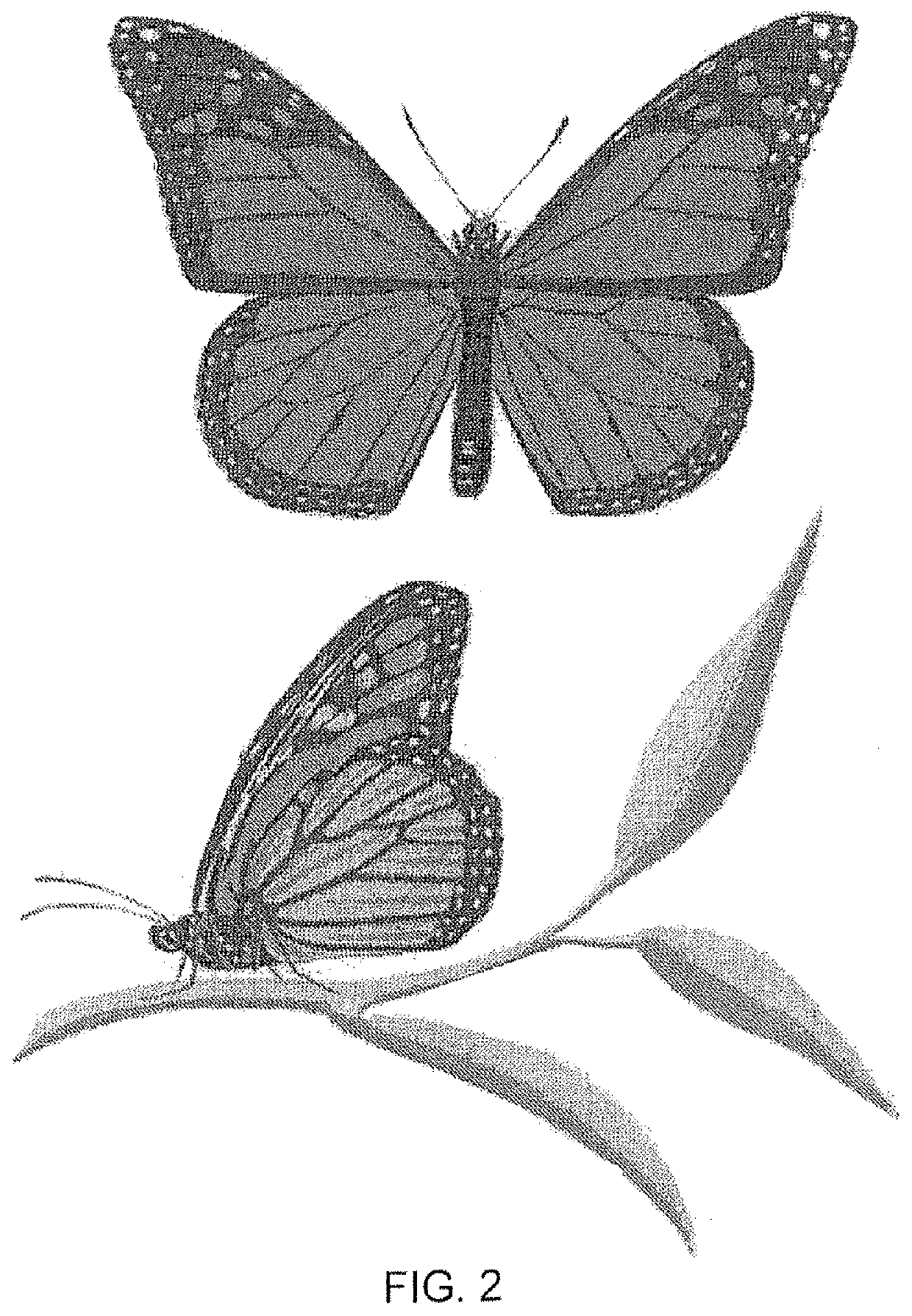 Method and system for protecting honey bees, bats and butterflies from neonicotinoid pesticides