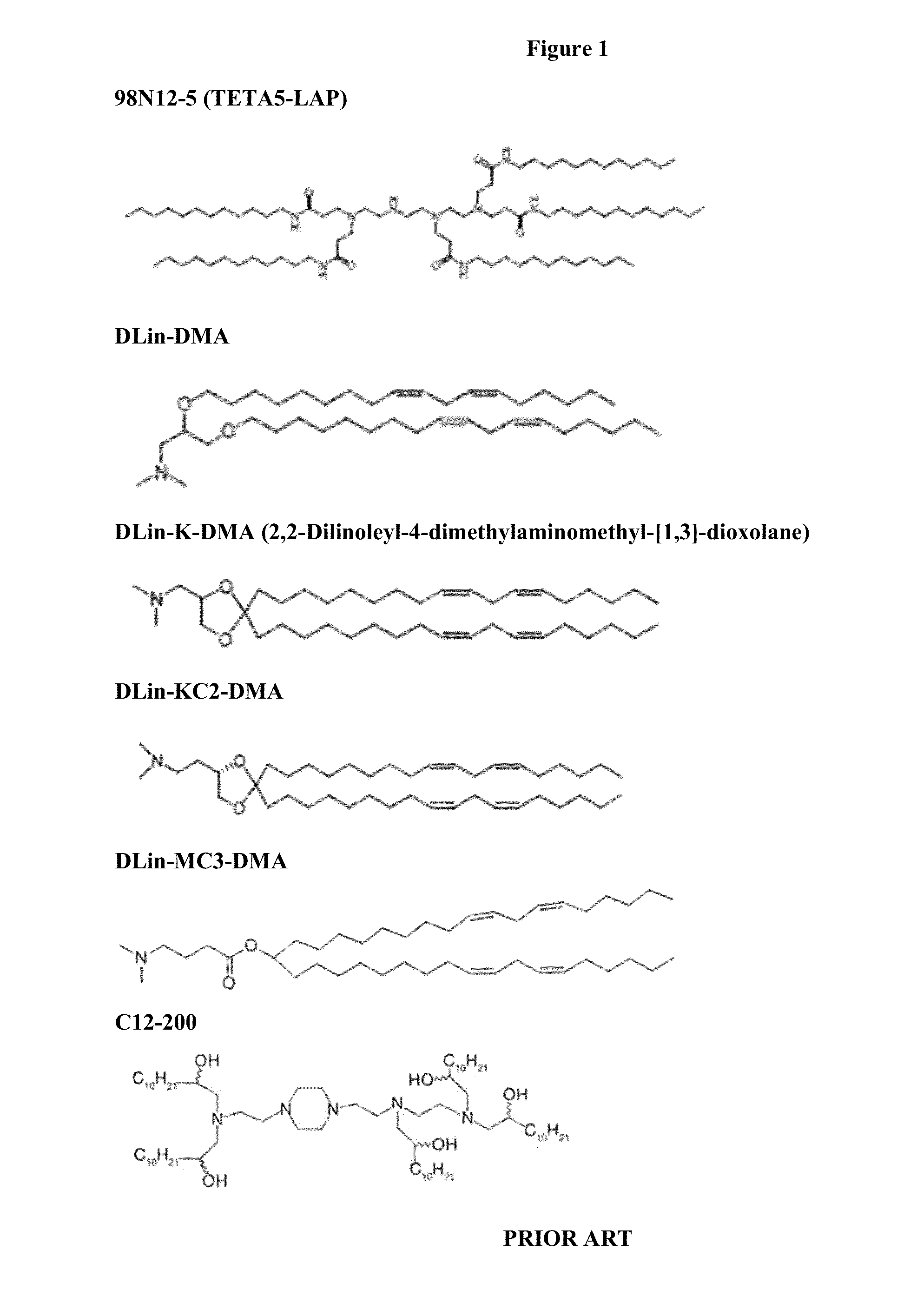 Method for increasing the production of a protein of interest