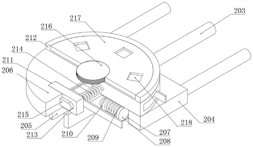 Diamond plasma device and diamond preparation method