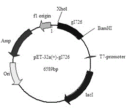 Truncated and expressed duck plague virus (DPV) recombinant envelope gI protein and preparation method and application thereof