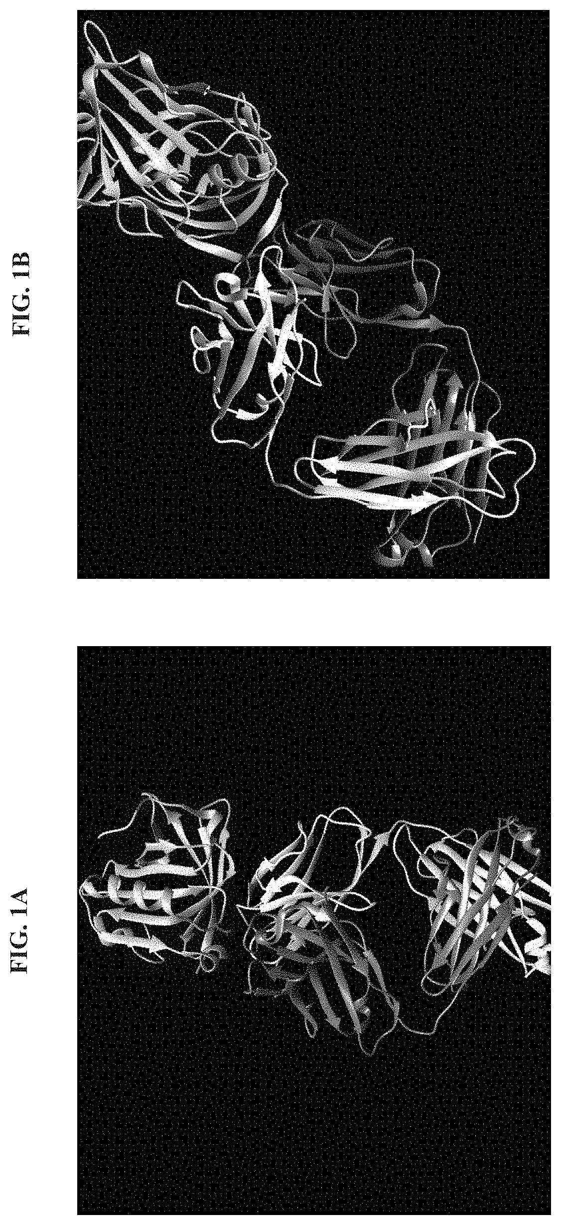 Methods for identifying and de-epitoping allergenic polypeptides