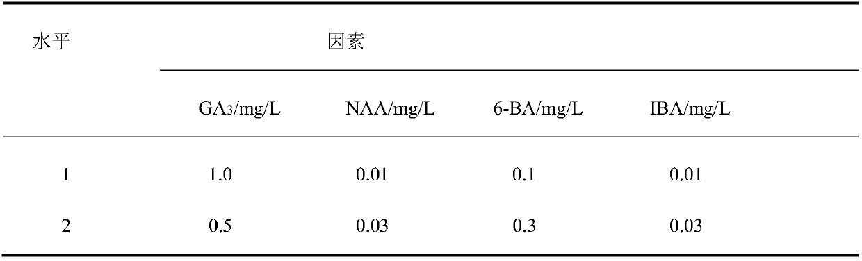 A kind of white cherry tissue culture and rapid propagation method