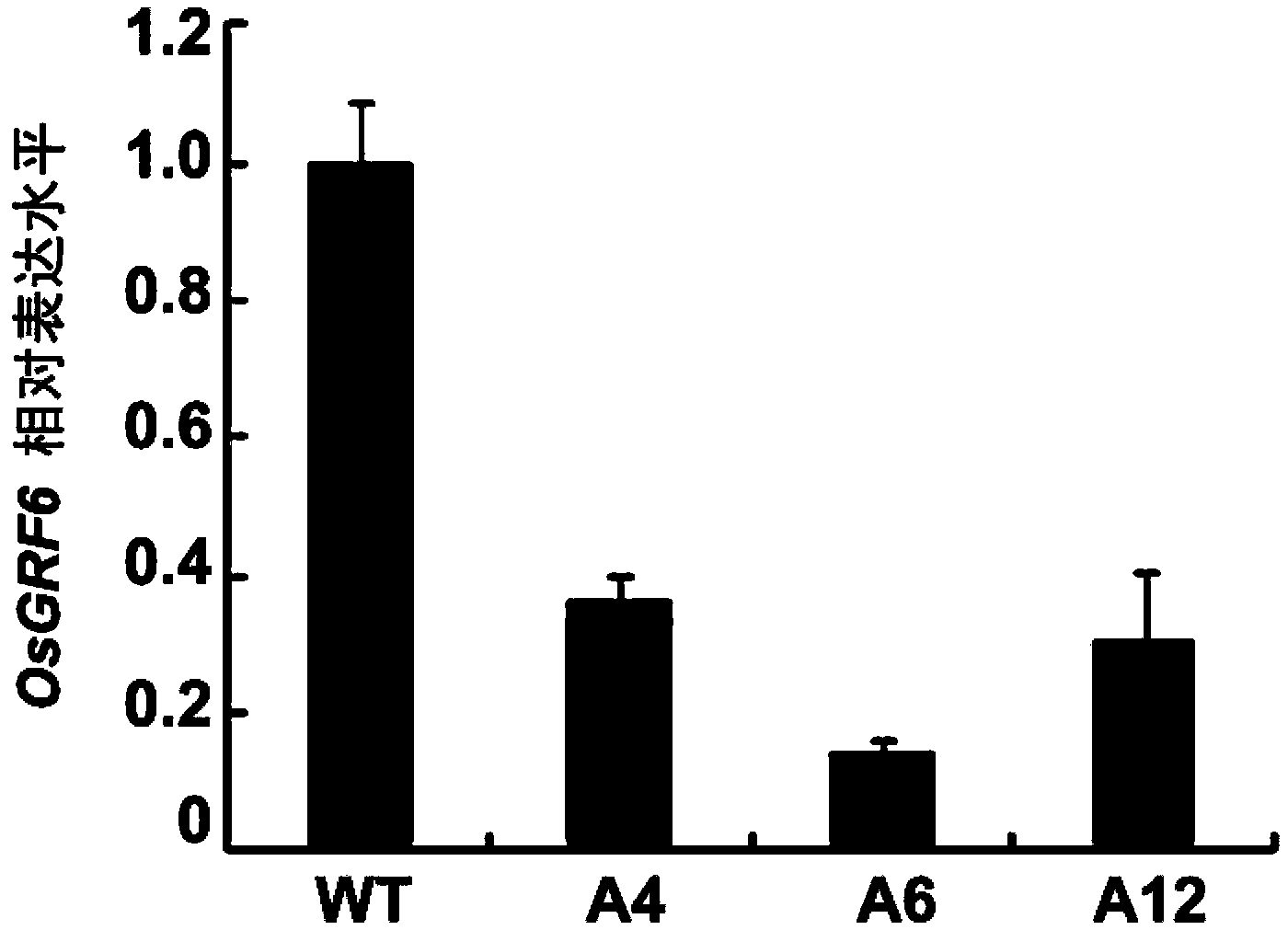Application of OsGRF6 protein in regulation of plant height