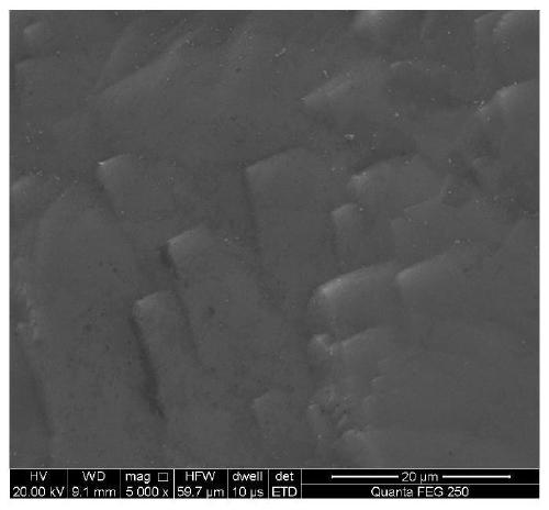 Boron-doped diamond electrode with ultrahigh specific surface area as well as preparation method and application of boron-doped diamond electrode