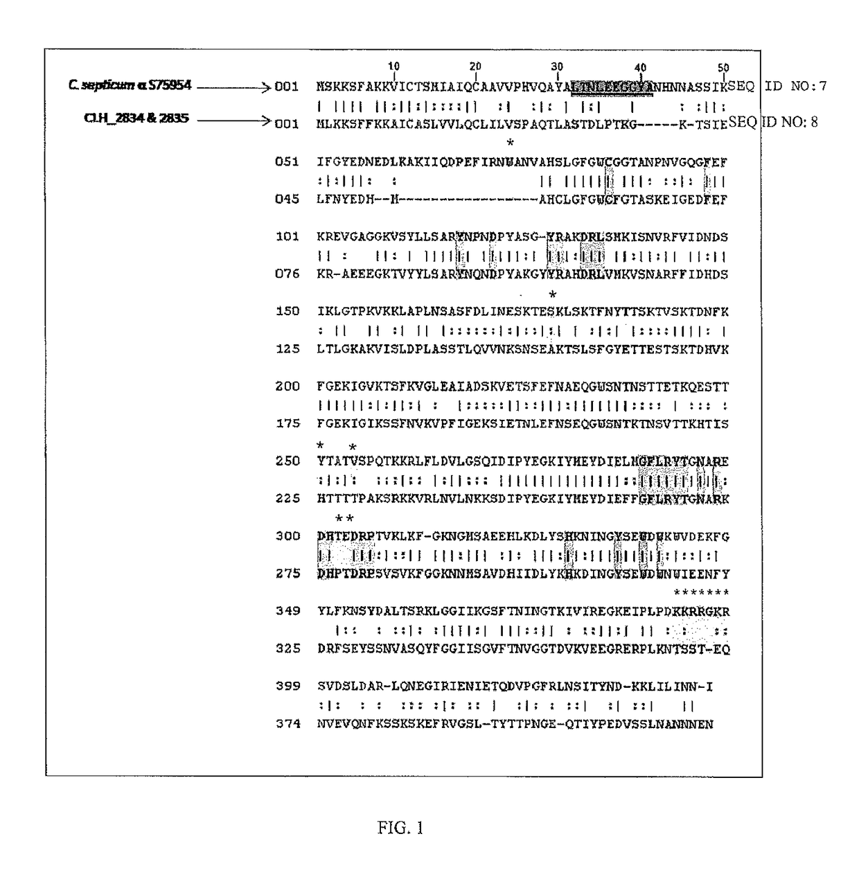 Clostridium histolyticum enzymes and methods for the use thereof