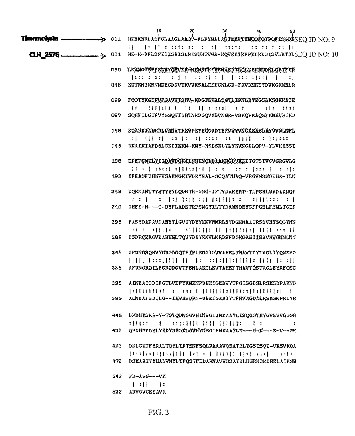Clostridium histolyticum enzymes and methods for the use thereof
