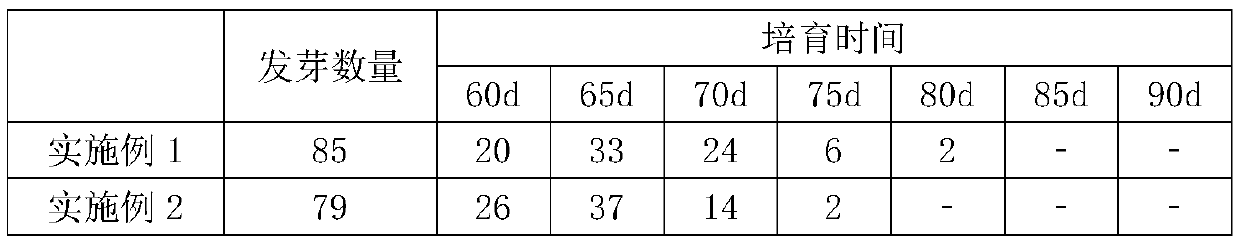 Agropyron cristatum planting method