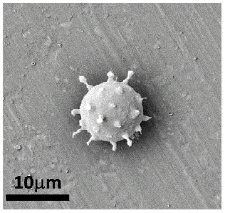 Virus structure-imitated high-polymer vesica as well as preparation method and application thereof