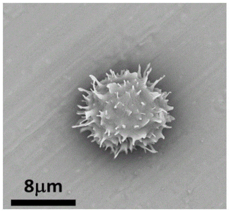 Virus structure-imitated high-polymer vesica as well as preparation method and application thereof