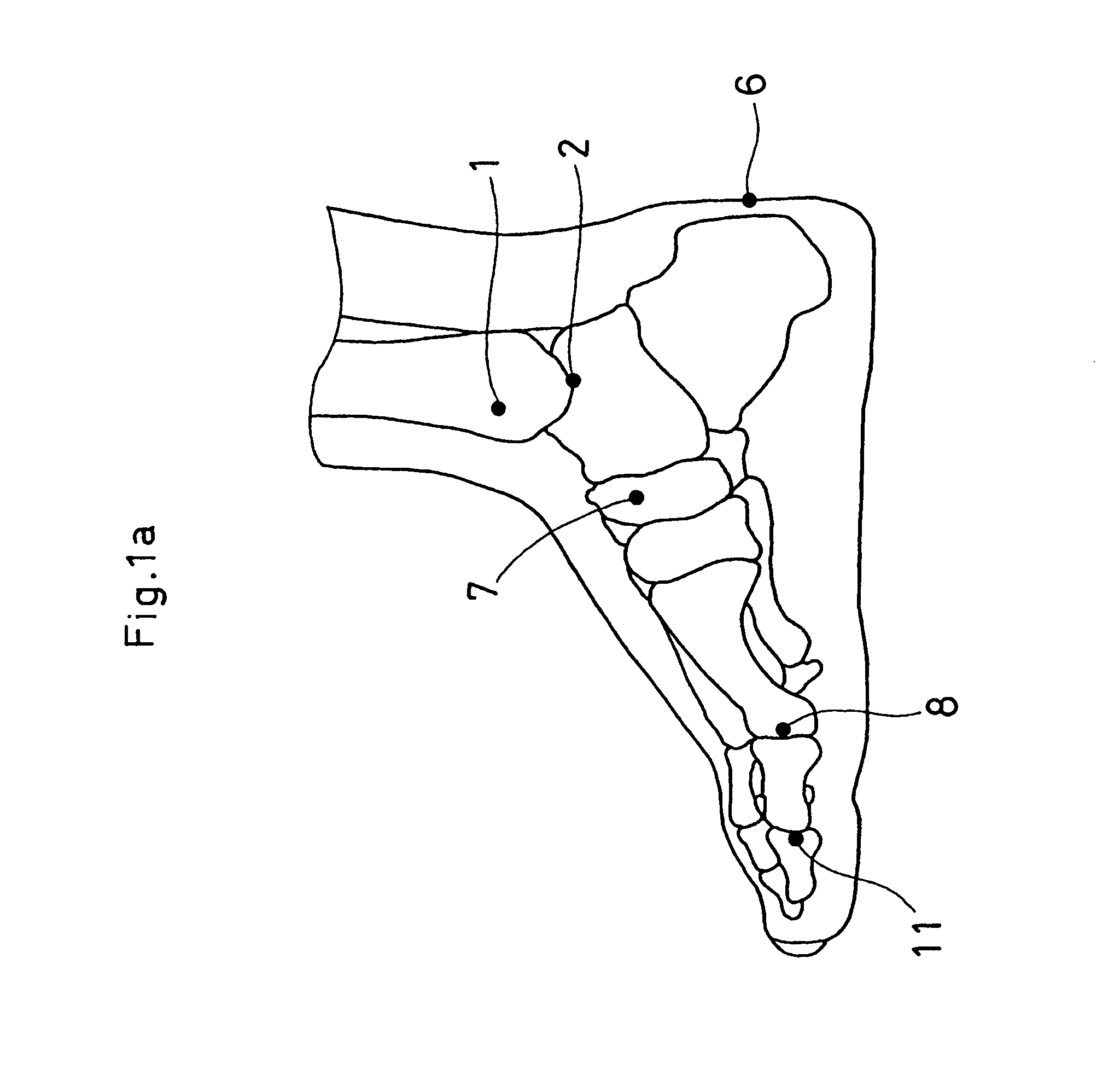 Foot shape information distributing network system