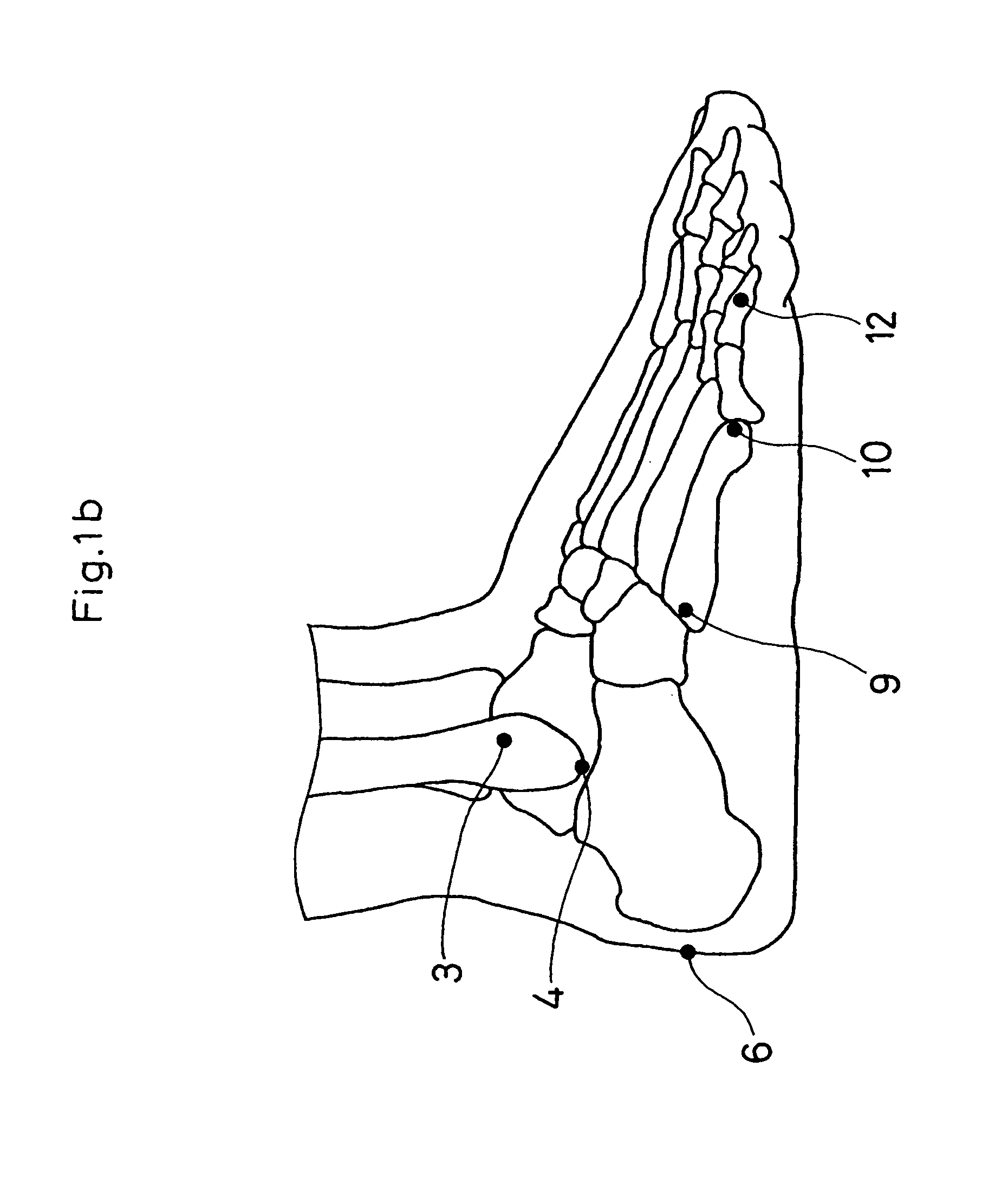 Foot shape information distributing network system