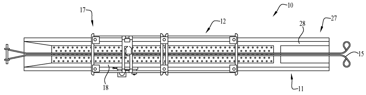 Direct current/alternating current poultry stunning and immobilizing apparatus and method