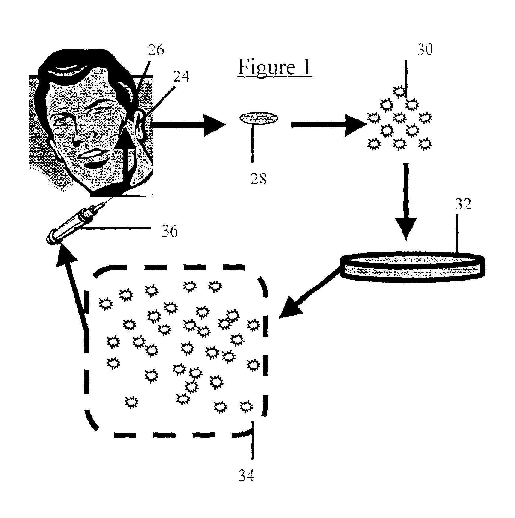 Cosmetic repair using cartilage producing cells and medical implants coated therewith