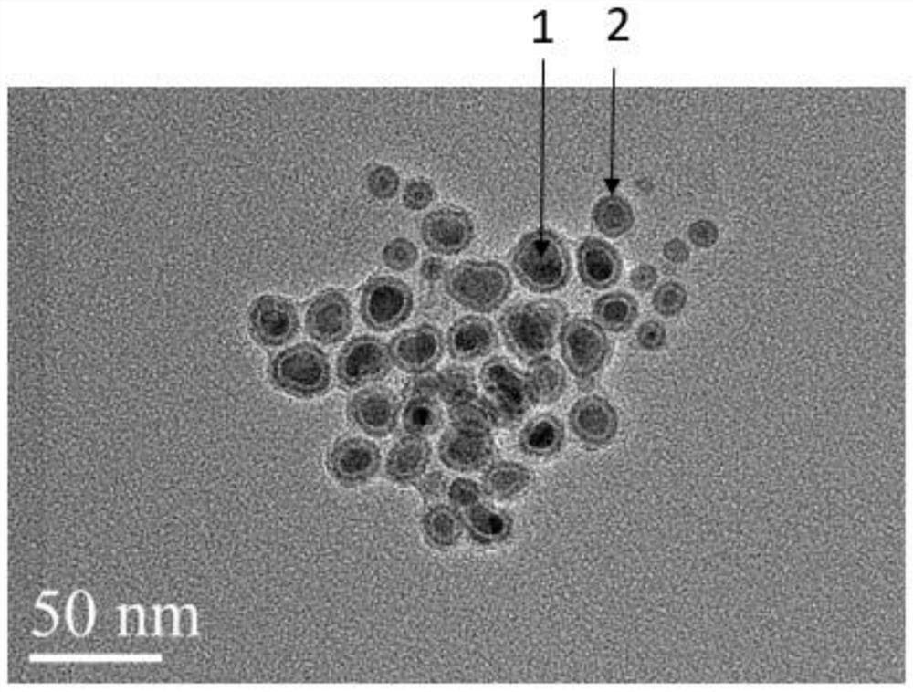 L10-FePt-coated PtBi2/Bi core-shell structure nanoparticles and one-step synthesis method thereof