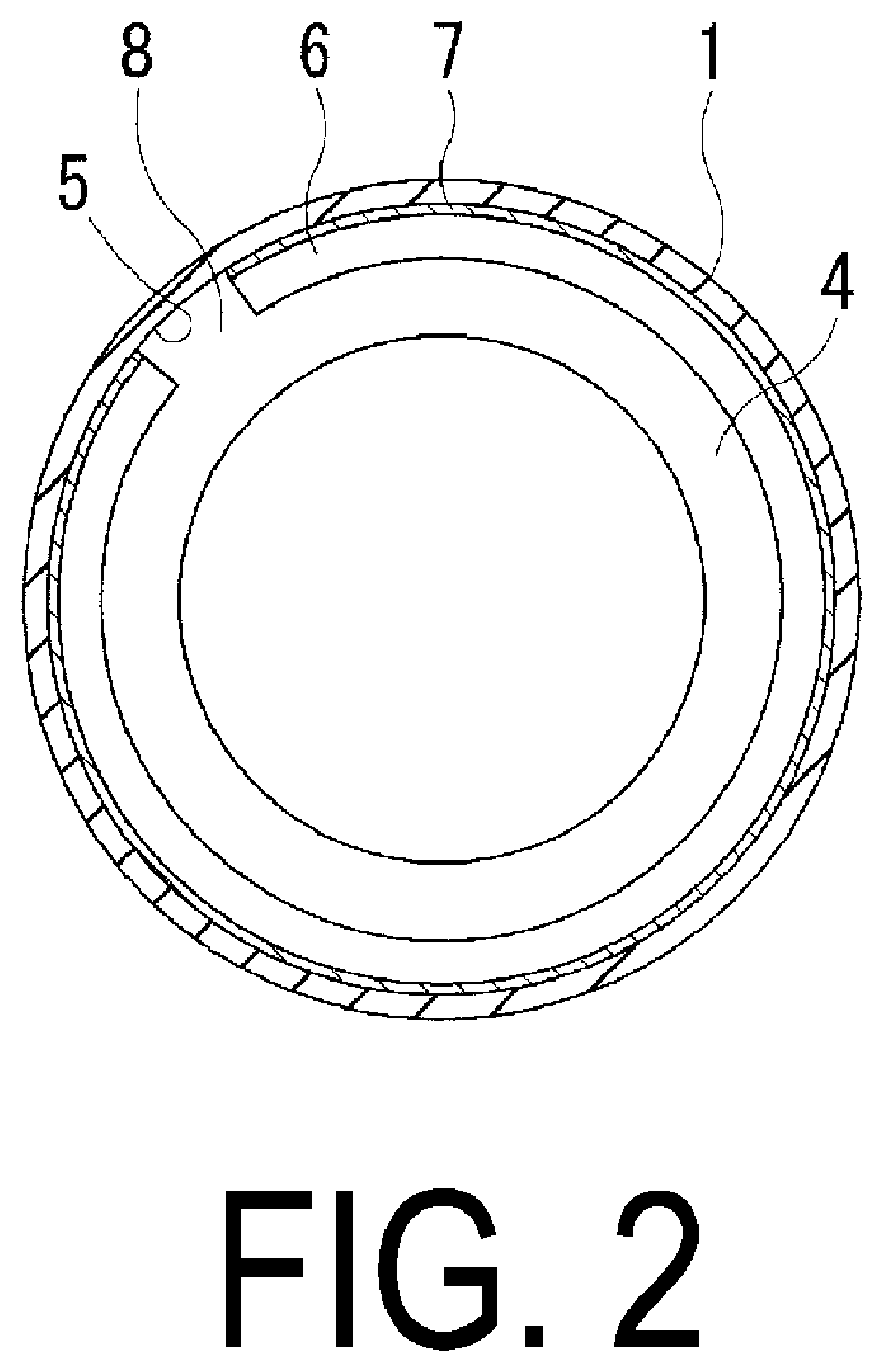 Pneumatic Tire and Method for Manufacturing the Same