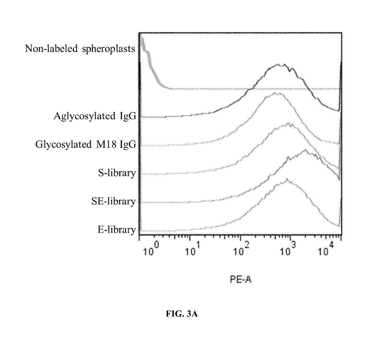 Engineered immunoglobulin Fc polypeptides displaying improved complement activation