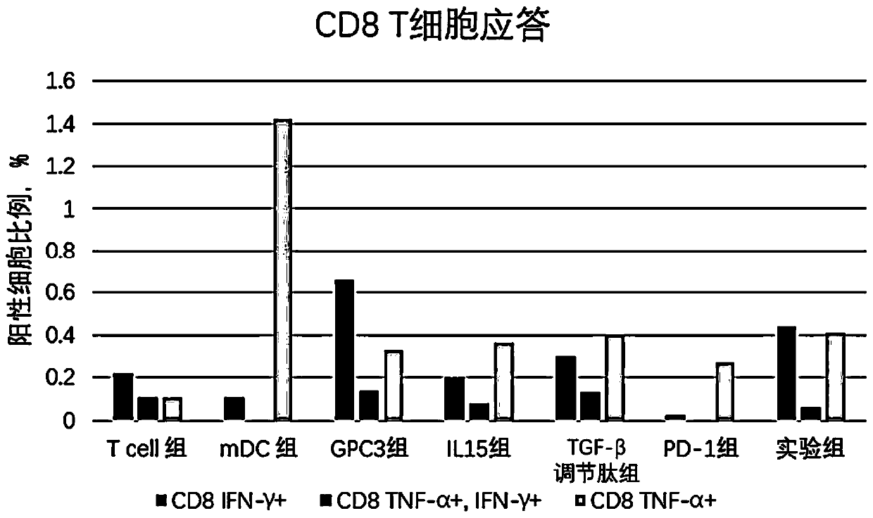 Composition for synergistically improving immune response and application