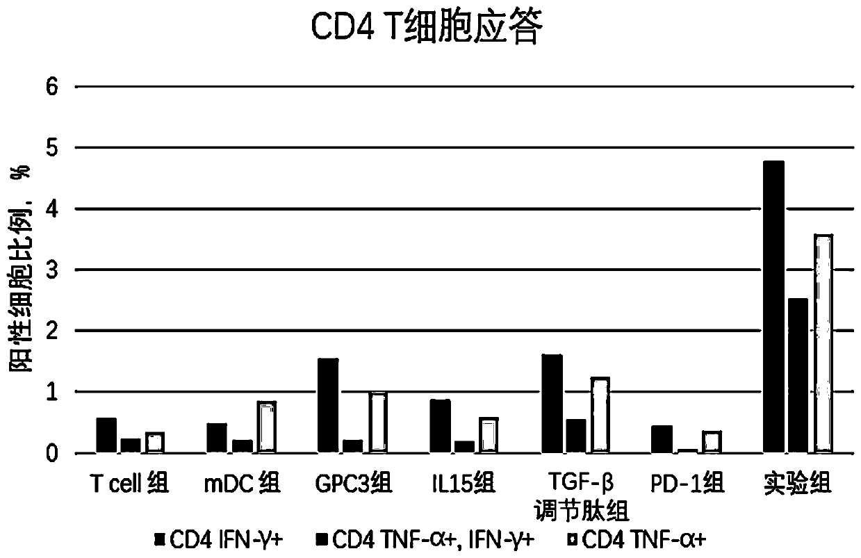 Composition for synergistically improving immune response and application