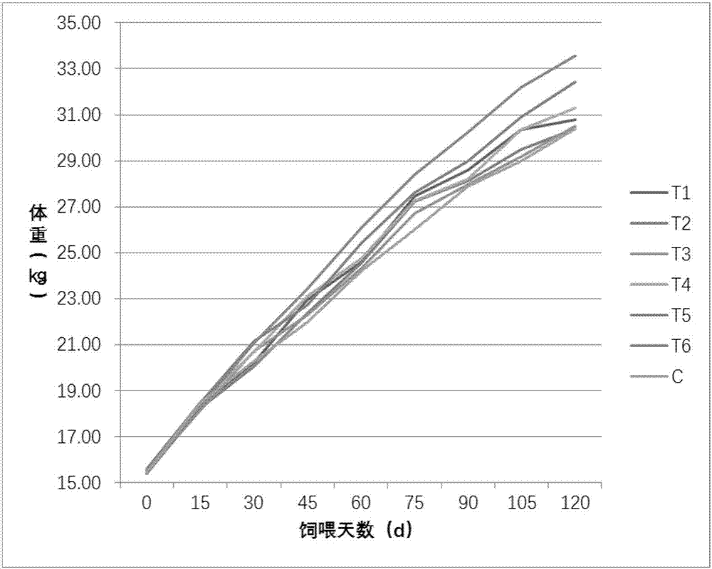 Total mixed ration for promoting onset of puberty of replacement ewes