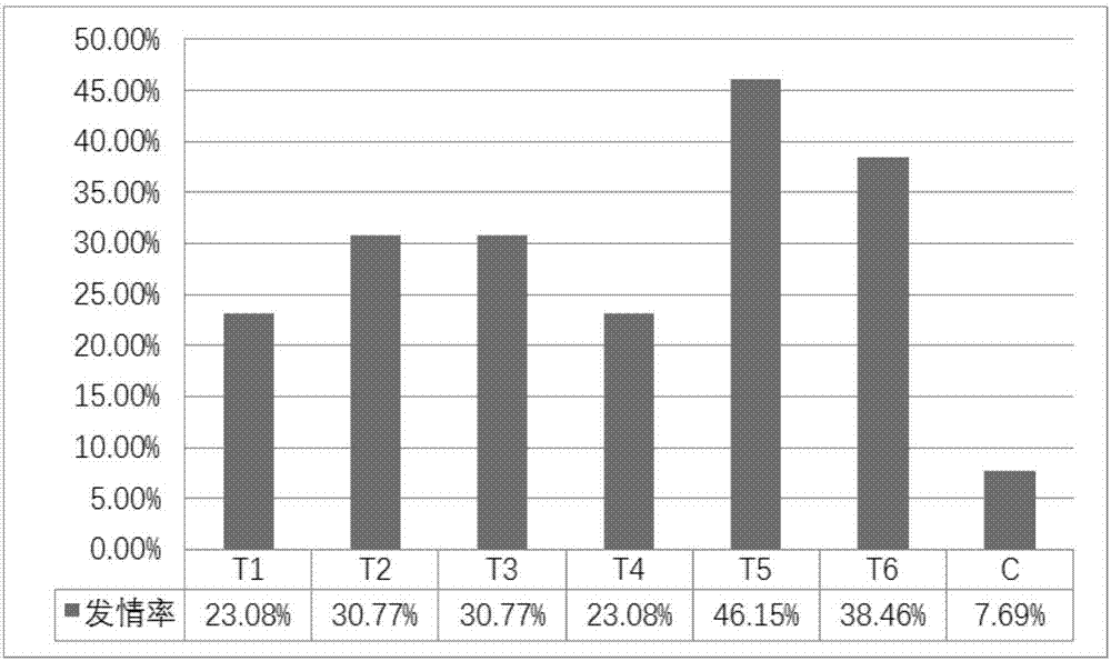 Total mixed ration for promoting onset of puberty of replacement ewes