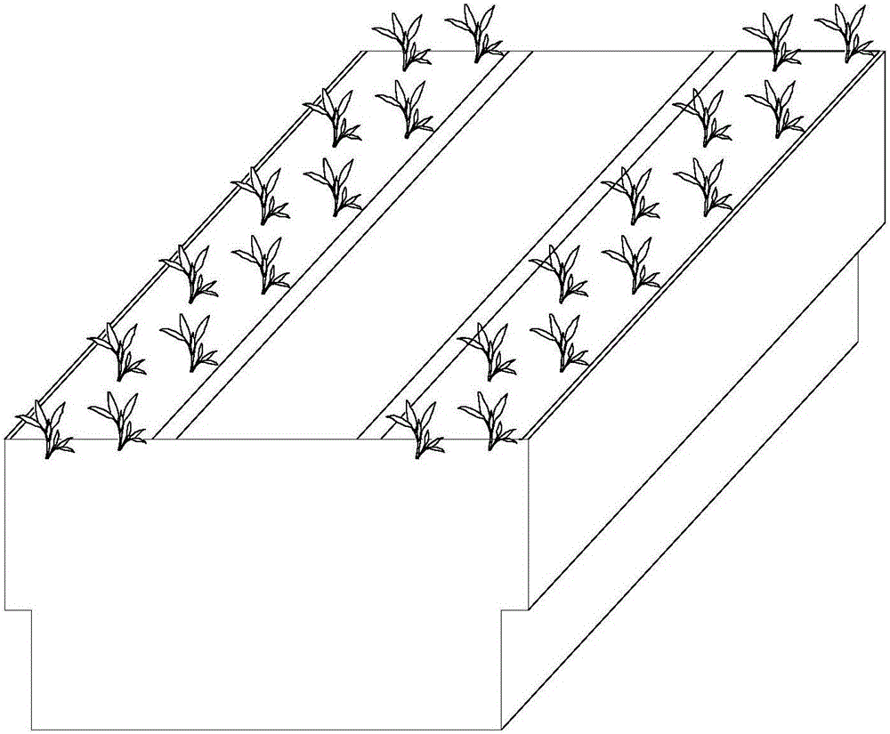 Solar energy focus and membrane distillation process based sea agriculture ecological membrane