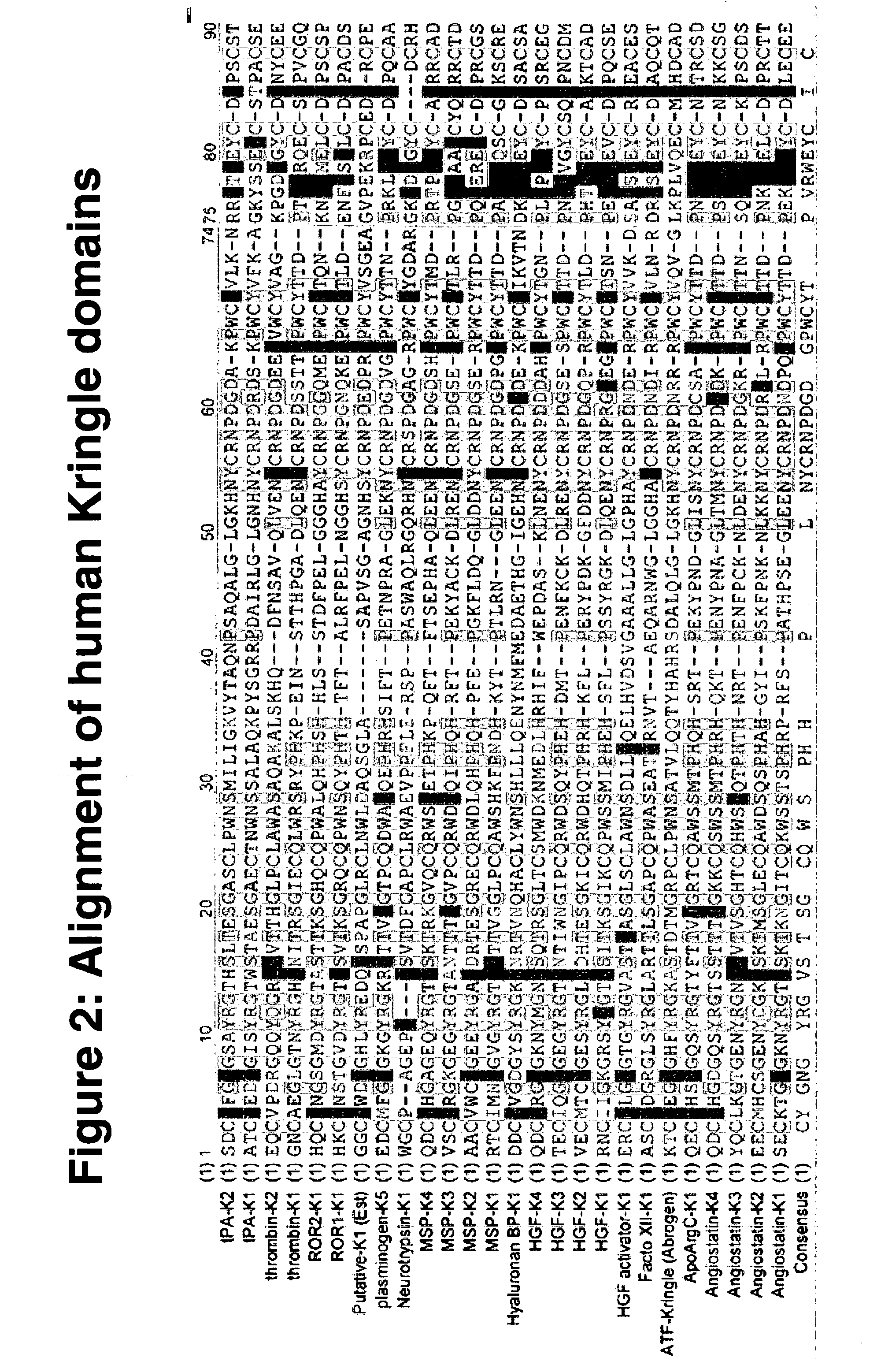 Kringle polypeptides and methods for using them to inhibit angiogenesis