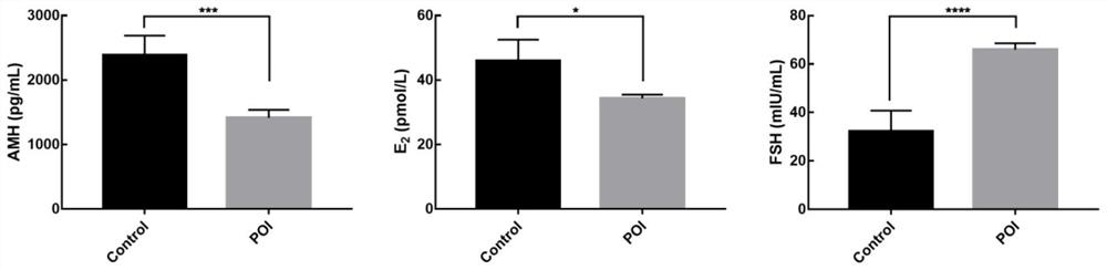 Application of fat active protein in preparation of medicine for treating premature ovarian insufficiency