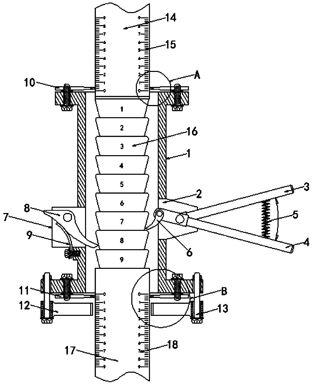 Detection device for determining bone marrow microcirculation environment of patient after hematopoietic stem cell transplantation