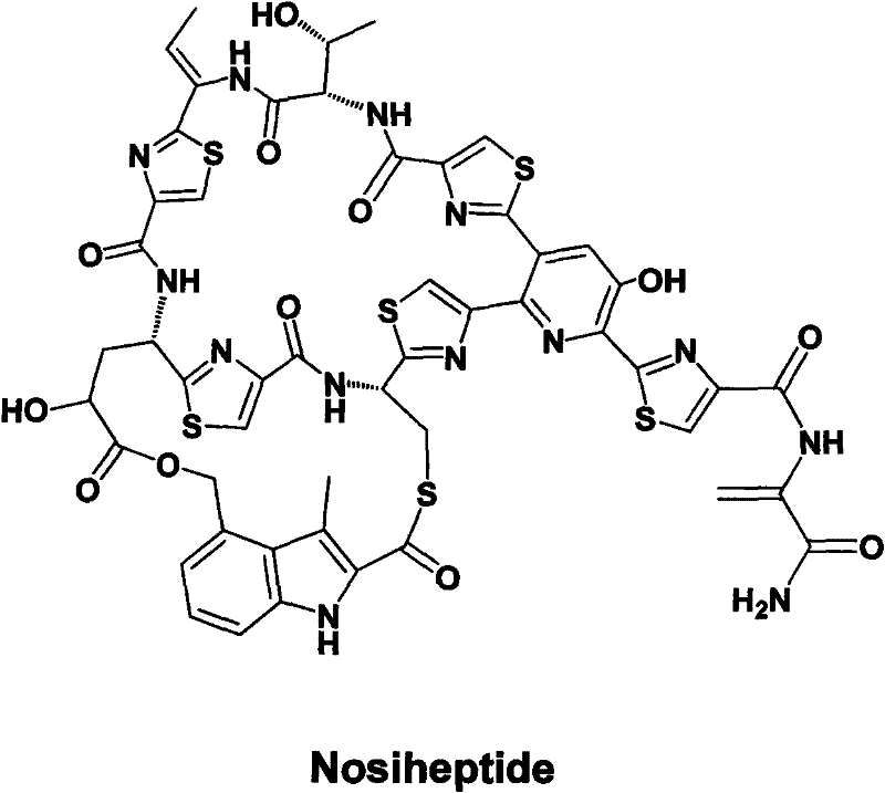 Gene cluster for biological synthesis of Nosiheptide
