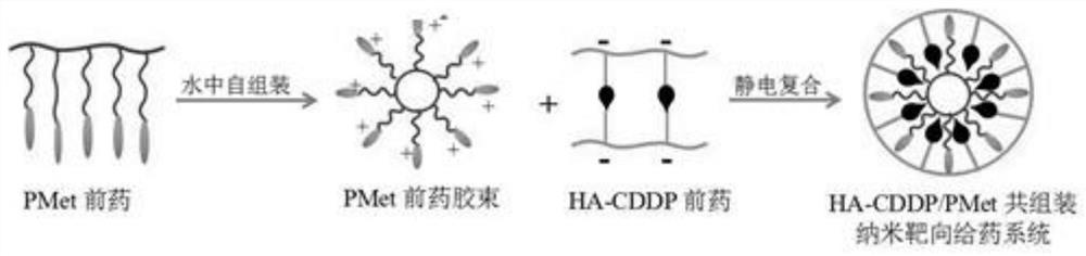 A double prodrug co-assembled nano-targeted drug delivery system and its preparation method