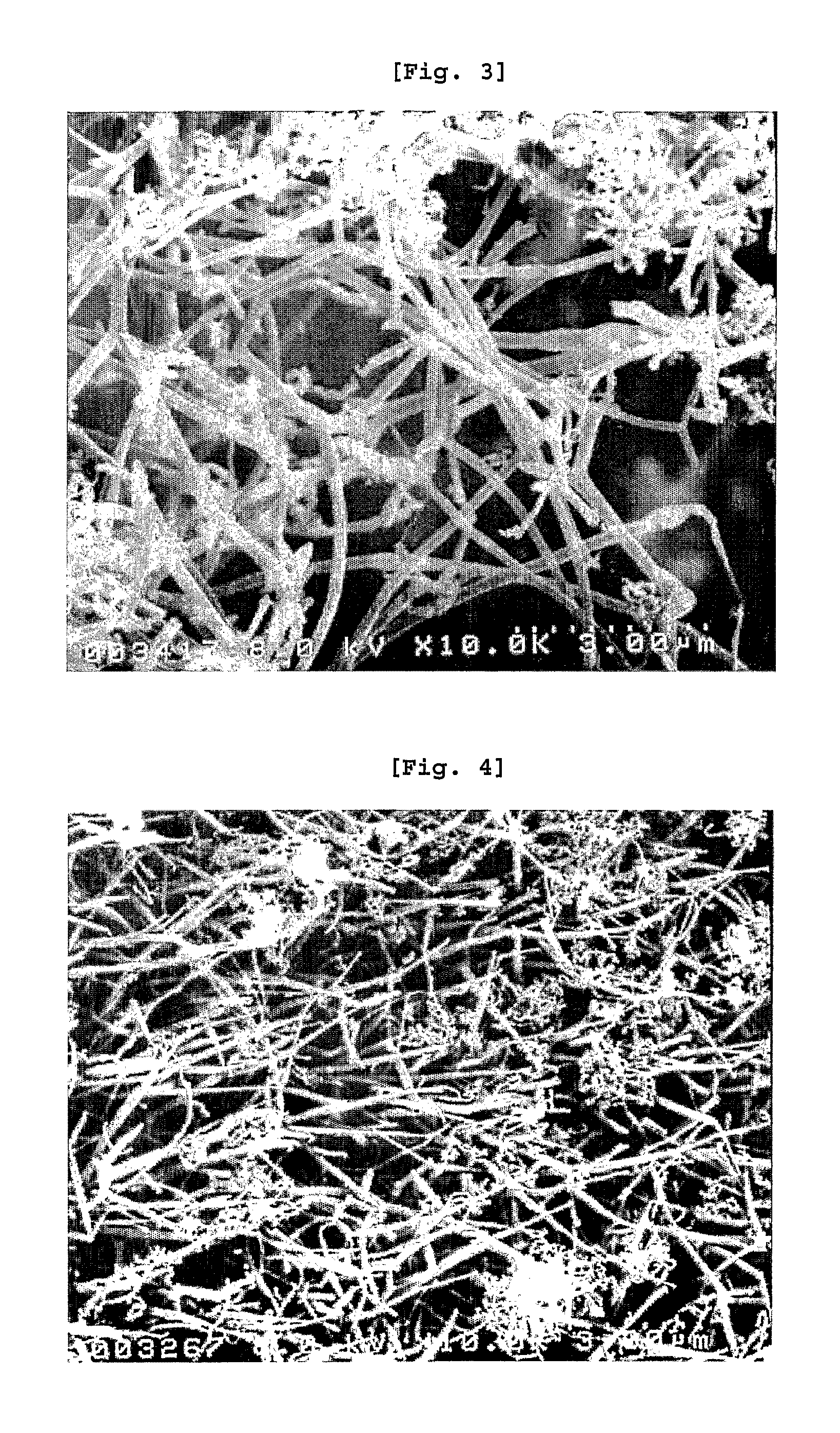 Method for the Preparation of Y-Branched Carbon Nanotubes