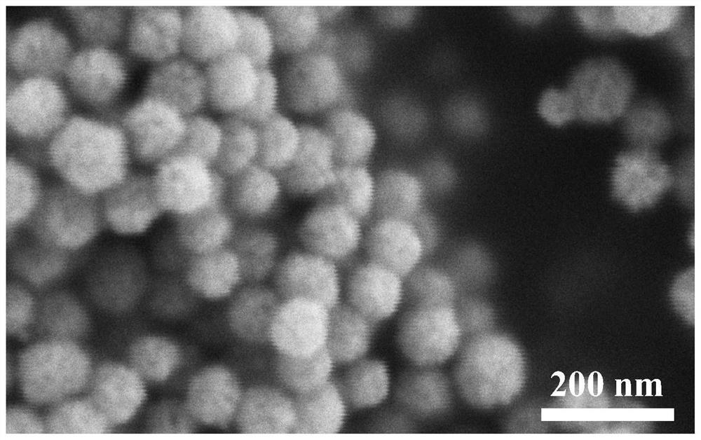 Carbon/titanium dioxide coated tin oxide nano particle/carbon assembled mesoporous sphere material as well as preparation and application thereof