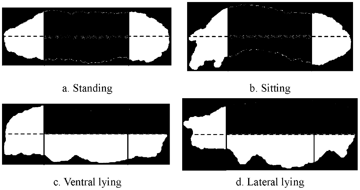 A lactating sow posture conversion identification method based on Faster R-CNN and HMM