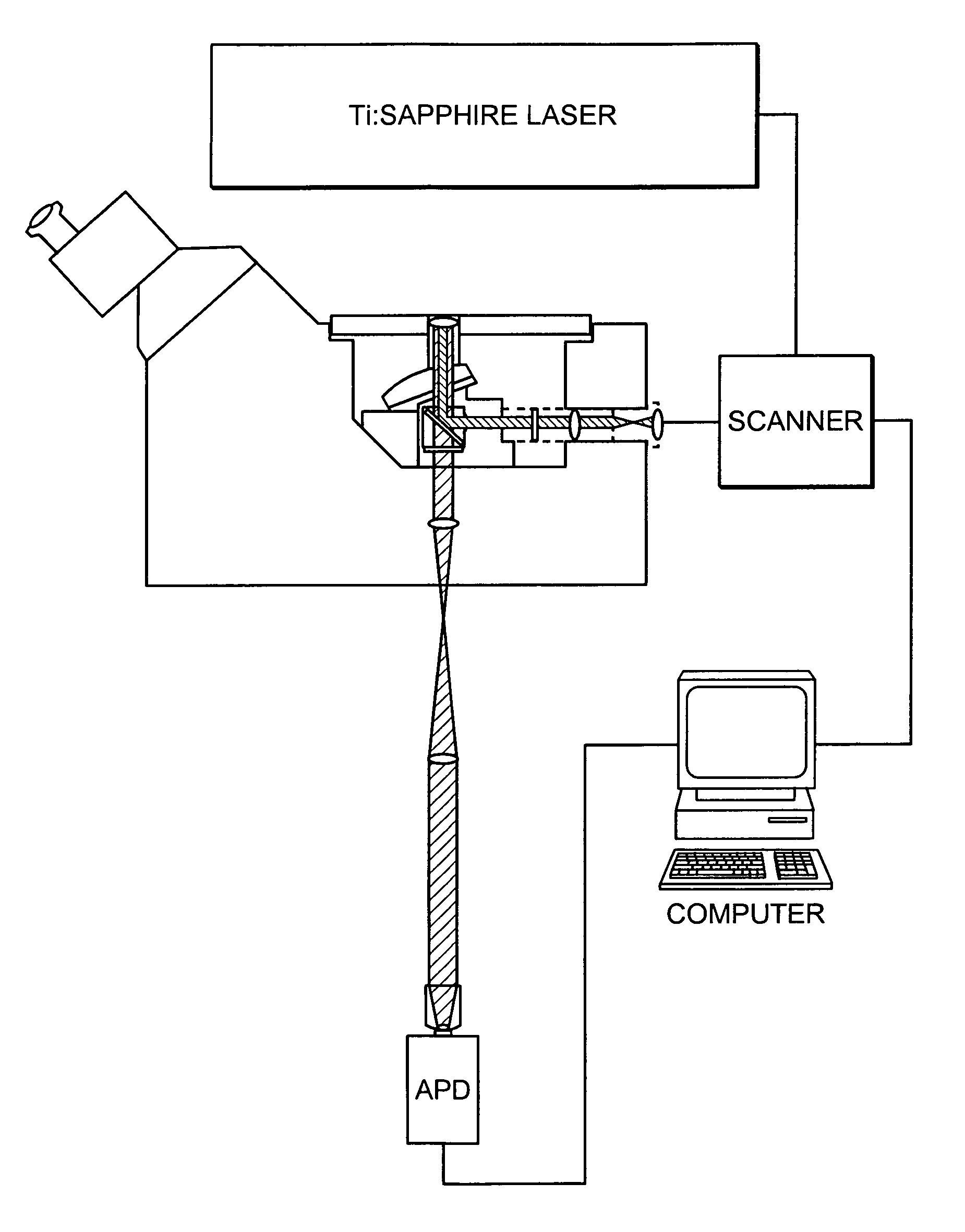 Methods for three-dimensional optical data storage and retrieval