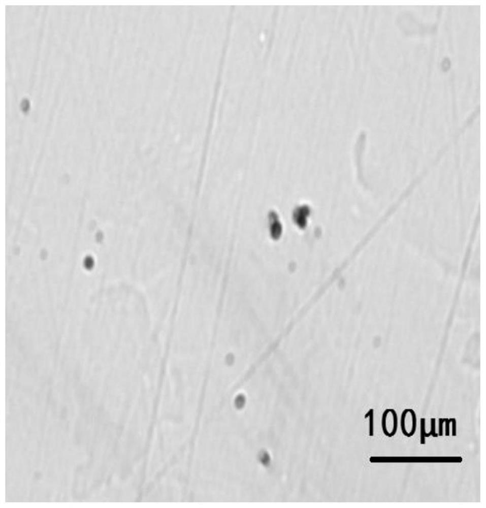 A pulsed magnetic filter deposition device