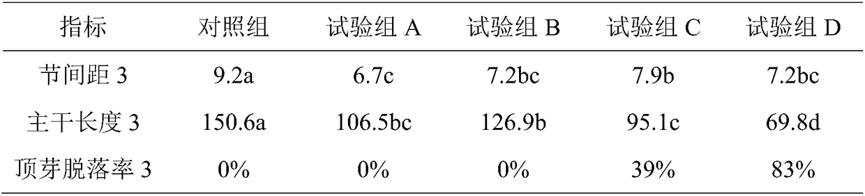 Dwarfing cultivation method for Magnolia wufengensis by utilizing morphactin