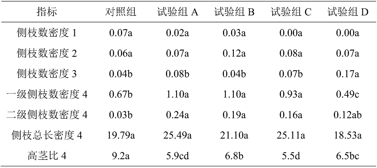 Dwarfing cultivation method for Magnolia wufengensis by utilizing morphactin