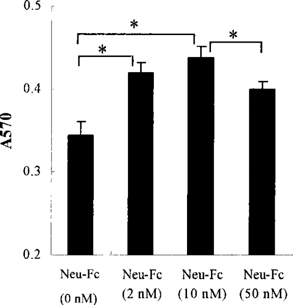 Heterogenetic antigen-Fc fusion protein capable of inducing antitumor immunity of organism and application thereof