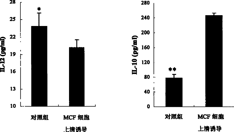 Heterogenetic antigen-Fc fusion protein capable of inducing antitumor immunity of organism and application thereof