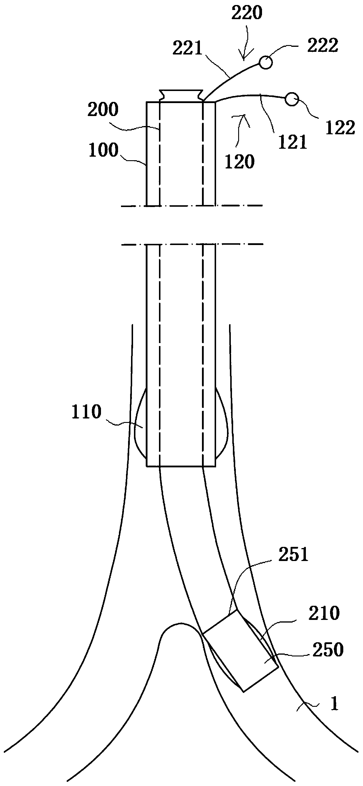 Double-cannula bronchial intubation