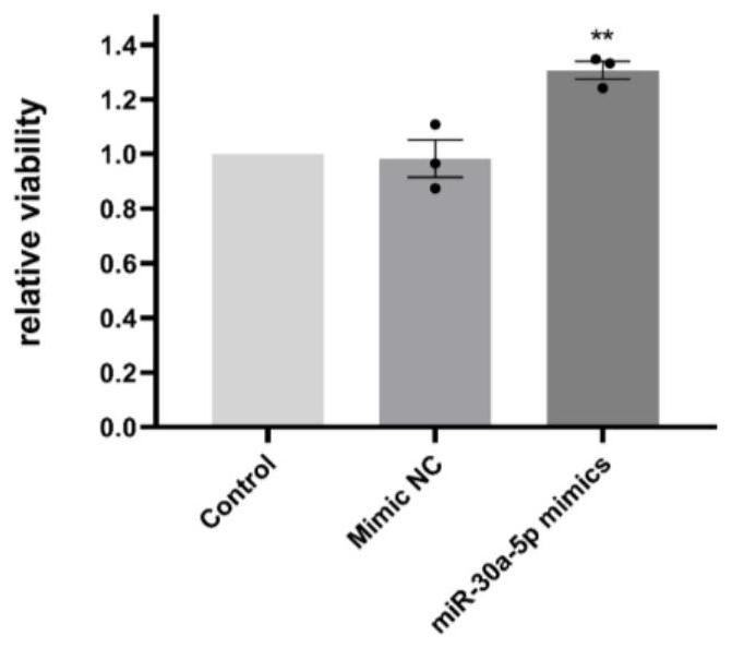 Application of miR-30a-5p as vascular injury repair molecular target